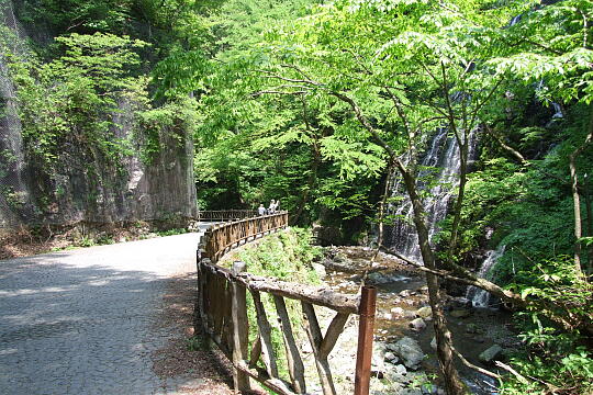 龍双ヶ滝 の写真(86) 2008年05月18日