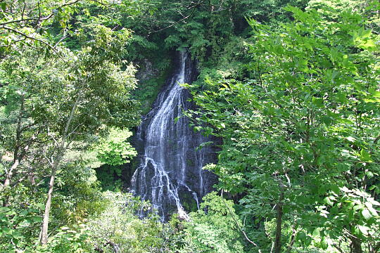 滝見台（龍双ヶ滝） の写真(86) 2008年05月18日