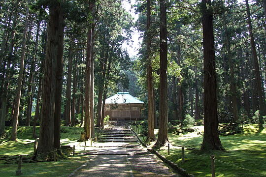 平泉寺白山神社 の写真(84) 2008年07月21日