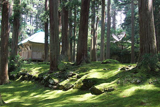 平泉寺白山神社 の写真(88) 2008年07月21日