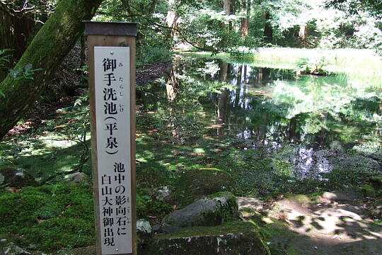 平泉寺白山神社 の写真(89) 2008年07月21日