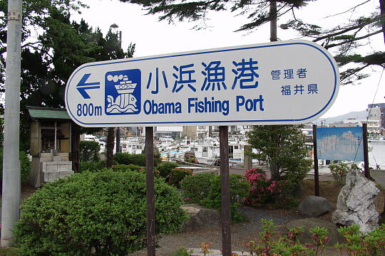 小浜漁港 の写真(81) 2005年06月05日