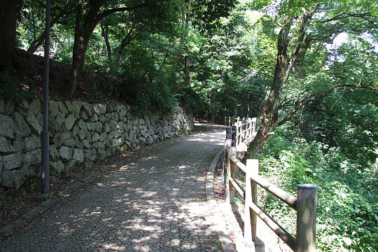 亀山公園 の写真(83) 2008年09月14日