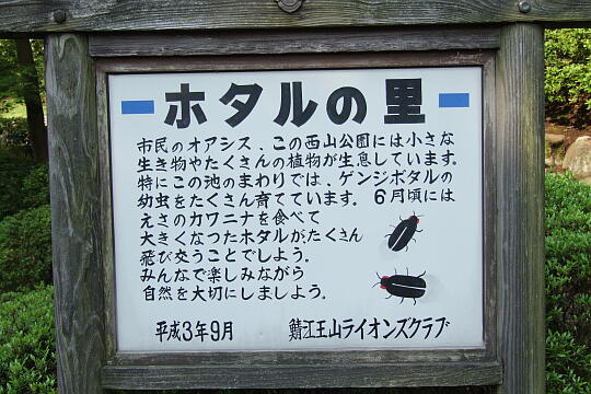 西山公園 菖蒲池 の写真(80) 2007年05月03日