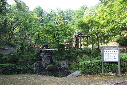 西山公園 菖蒲池 の写真(81) 2007年05月03日