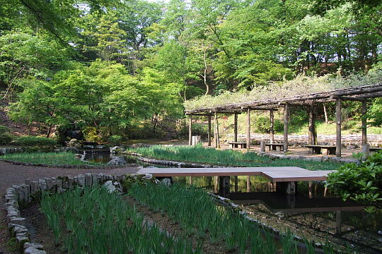 西山公園 菖蒲池 の写真(82) 2007年05月03日