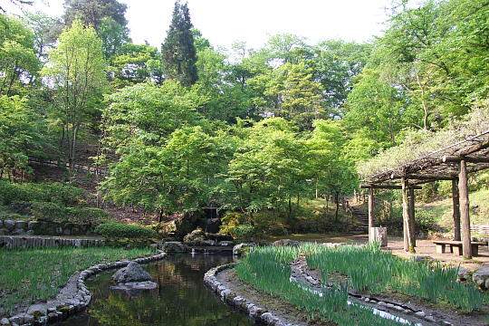 西山公園 菖蒲池 の写真(83) 2007年05月03日