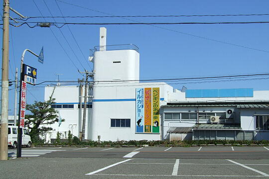 越前松島水族館 の写真(81) 2006年09月03日