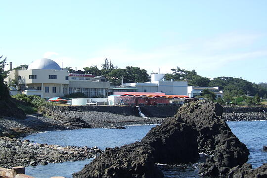 越前松島水族館 の写真(83) 2006年09月03日
