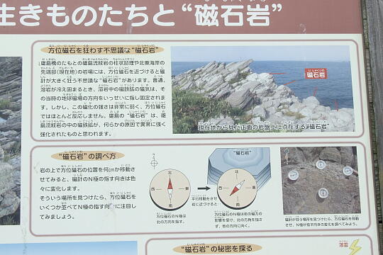 雄島（２）磁石岩付近 の写真(83) 2008年09月14日