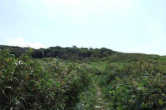 雄島（３） の写真(81) 2008年09月14日