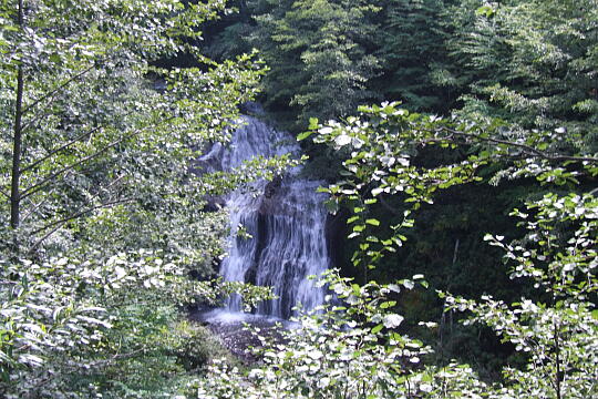 /pref-gifu/gerokogai/g070922/shiraitotakiDSCF1628.JPG