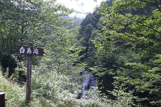 /pref-gifu/gerokogai/g070922/shiraitotakiDSCF1630.JPG