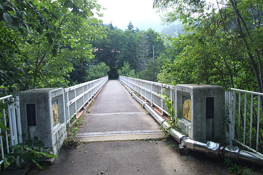 /pref-gifu/gerokogai/g070922/tozando-iriguchiDSCF1635.JPG