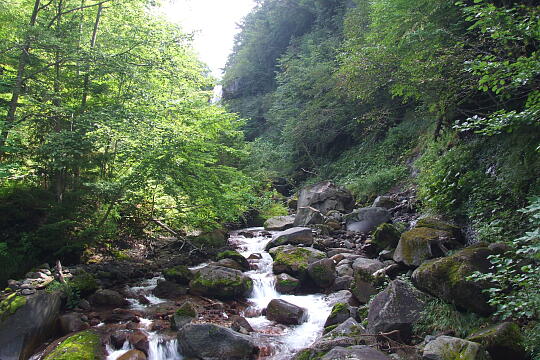 仙人滝 の写真(83) 2007年09月22日