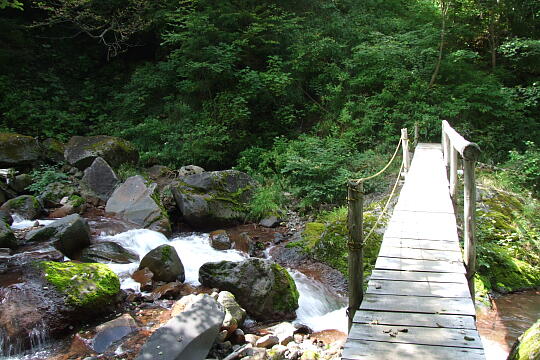 仙人滝 の写真(87) 2007年09月22日