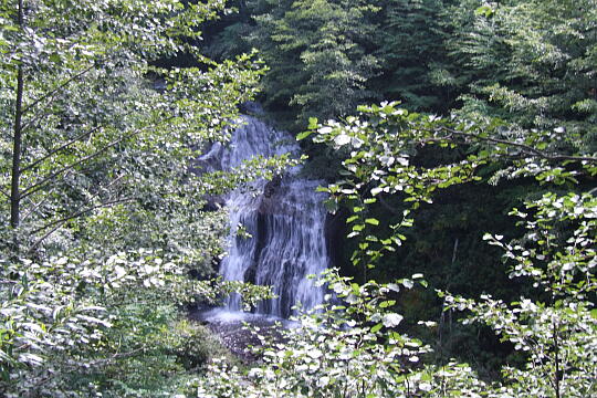 白糸滝 の写真(81) 2007年09月22日
