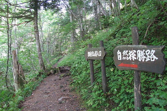 登山道入口 の写真(82) 2007年09月22日