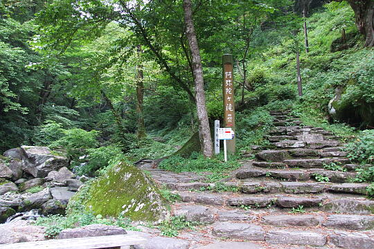 阿弥陀ヶ滝 の写真(80) 2007年10月07日