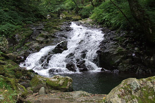 阿弥陀ヶ滝 の写真(85) 2007年10月07日