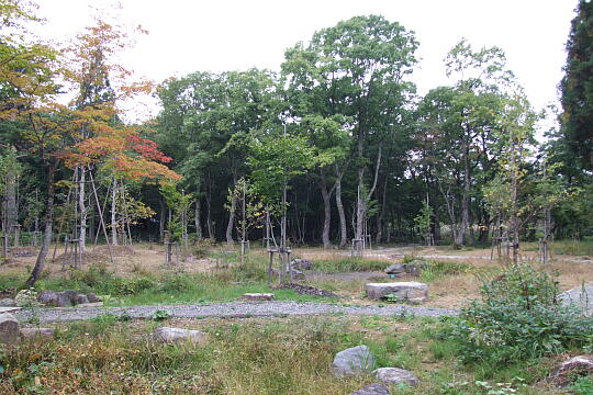 分水嶺公園 の写真(83) 2007年10月07日