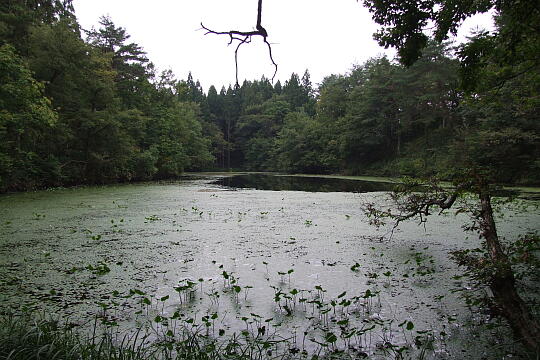村間ヶ池 の写真(85) 2007年10月07日