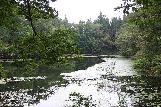 村間ヶ池 の写真(87) 2007年10月07日