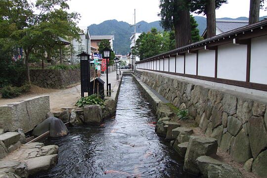 瀬戸川と白壁土蔵街（１） の写真(83) 2007年09月23日