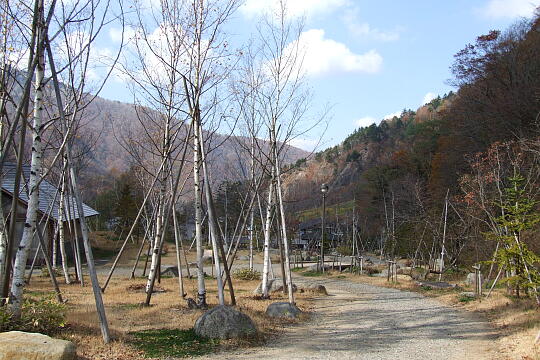奥飛騨平湯大滝公園 の写真(81) 2006年11月03日