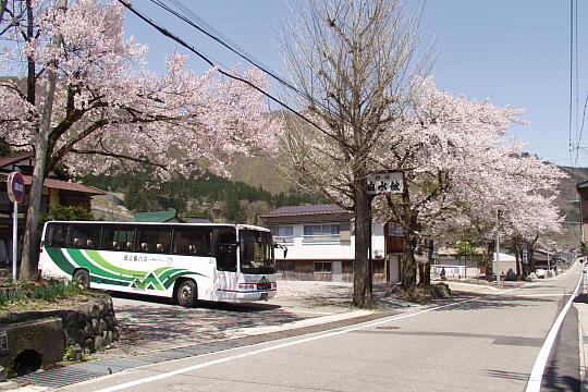 鳩谷（鳩ヶ谷）バス停 の写真(82) 2006年05月03日