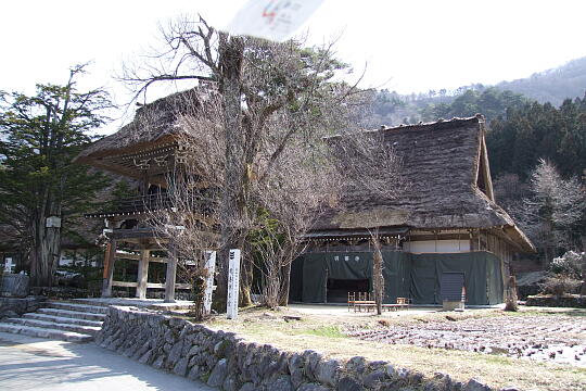 明善寺 の写真(83) 2009年03月21日