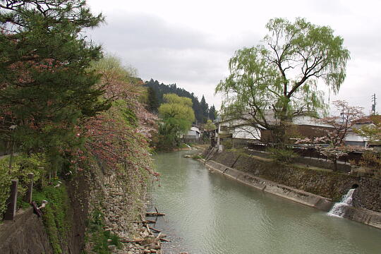 中橋 の写真(81) 2005年04月29日