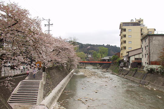 中橋 の写真(86) 2005年04月29日