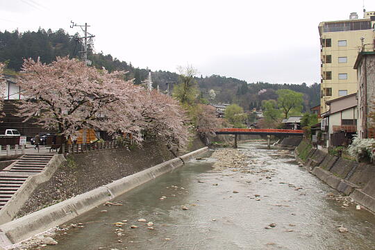 中橋 の写真(87) 2005年04月29日