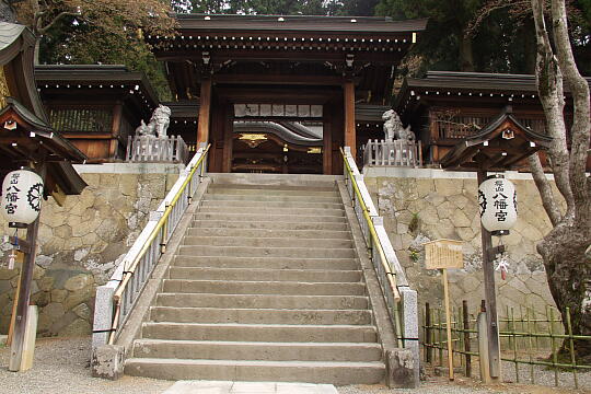 桜山八幡宮 の写真(81) 2005年04月29日