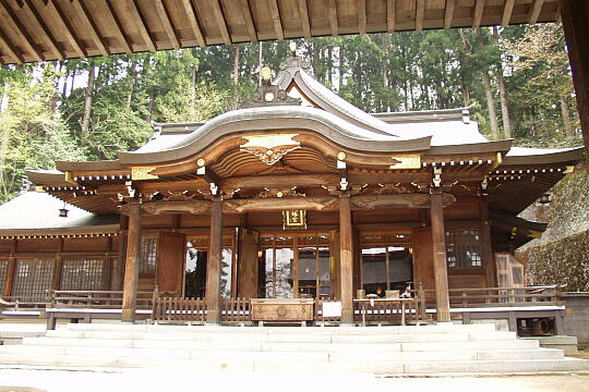 桜山八幡宮 の写真(84) 2005年04月29日