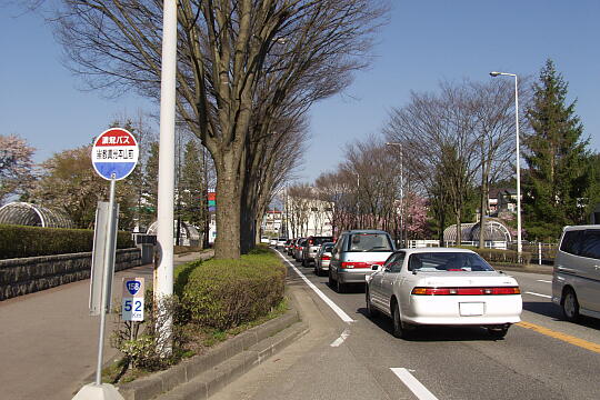 崇教真光本山前バス停 の写真(80) 2006年05月03日