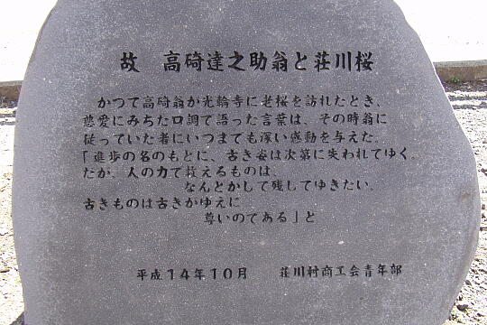 荘川桜 の写真(81) 2006年05月03日
