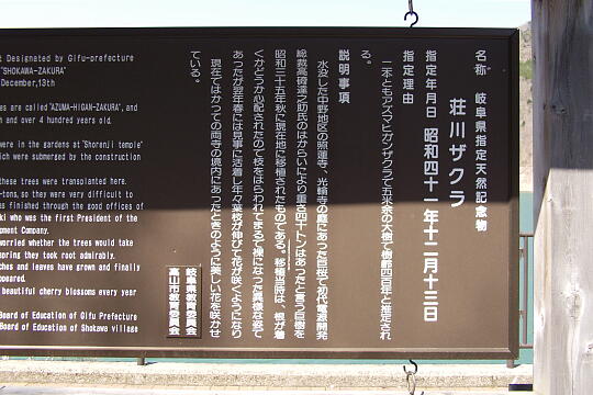 荘川桜 の写真(86) 2006年05月03日