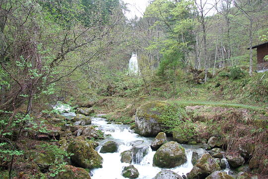銚子の滝 の写真(86) 2008年05月05日