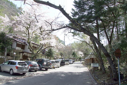 秋神温泉 の写真(82) 2008年05月04日