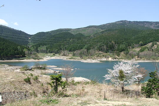 あららぎ湖・あららぎ公園 の写真(81) 2008年05月04日