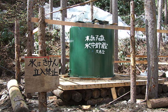 氷点下の森（秋神温泉） の写真(80) 2008年05月04日