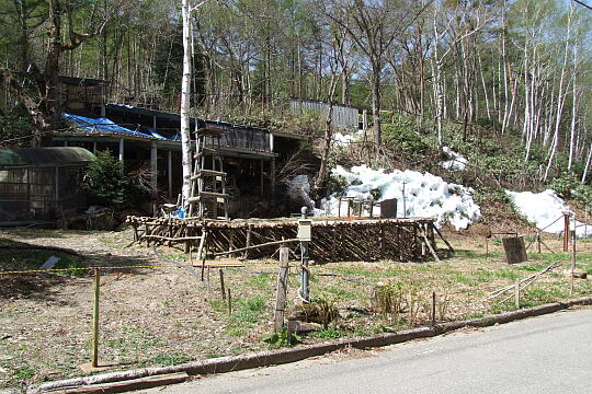氷点下の森（秋神温泉） の写真(83) 2008年05月04日