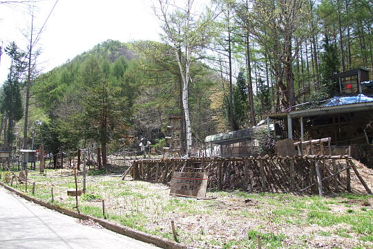 氷点下の森（秋神温泉） の写真(84) 2008年05月04日