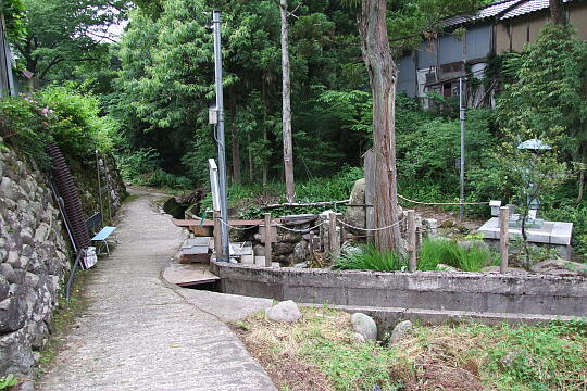 弘法池 の写真(86) 2008年06月08日