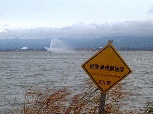柴山潟 の写真(89) 2002年12月08日