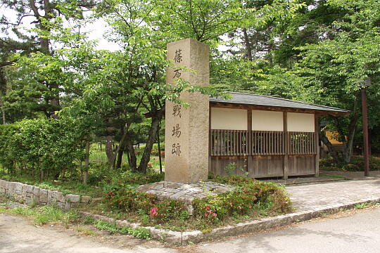 首洗い池（手塚山公園） の写真(81) 2005年06月12日