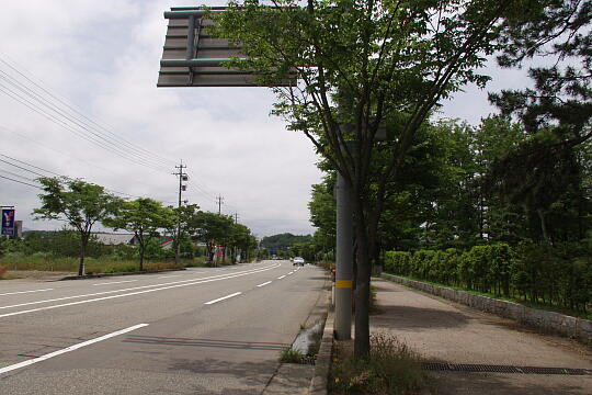 首洗い池（手塚山公園） の写真(82) 2005年06月12日
