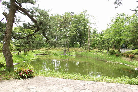 首洗い池（手塚山公園） の写真(83) 2005年06月12日